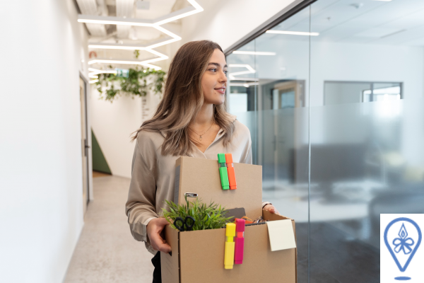 Guia para conseguir trabajo